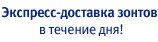 Экспресс-доставка сумок, мужских и женских зонтов в течении дня!